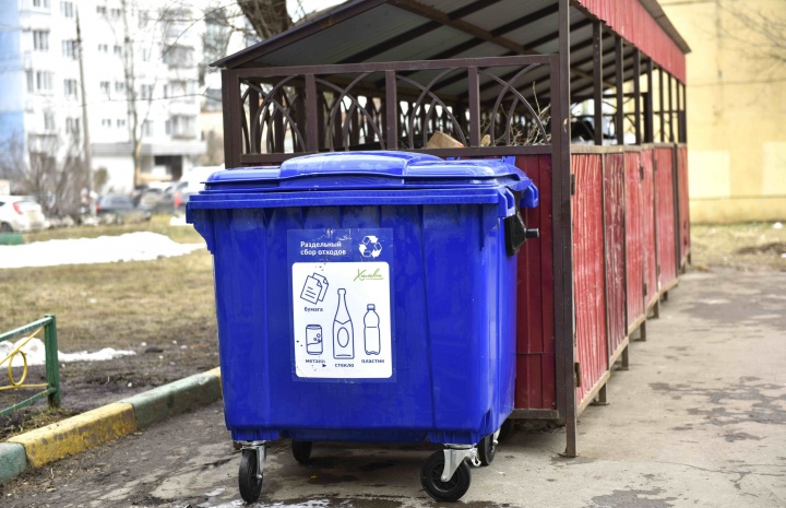 Раздельный сбор мусора — вклад каждого в сохранение окружающей среды